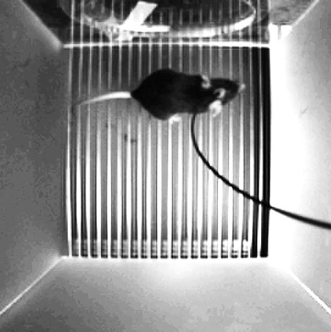 Photometry setup